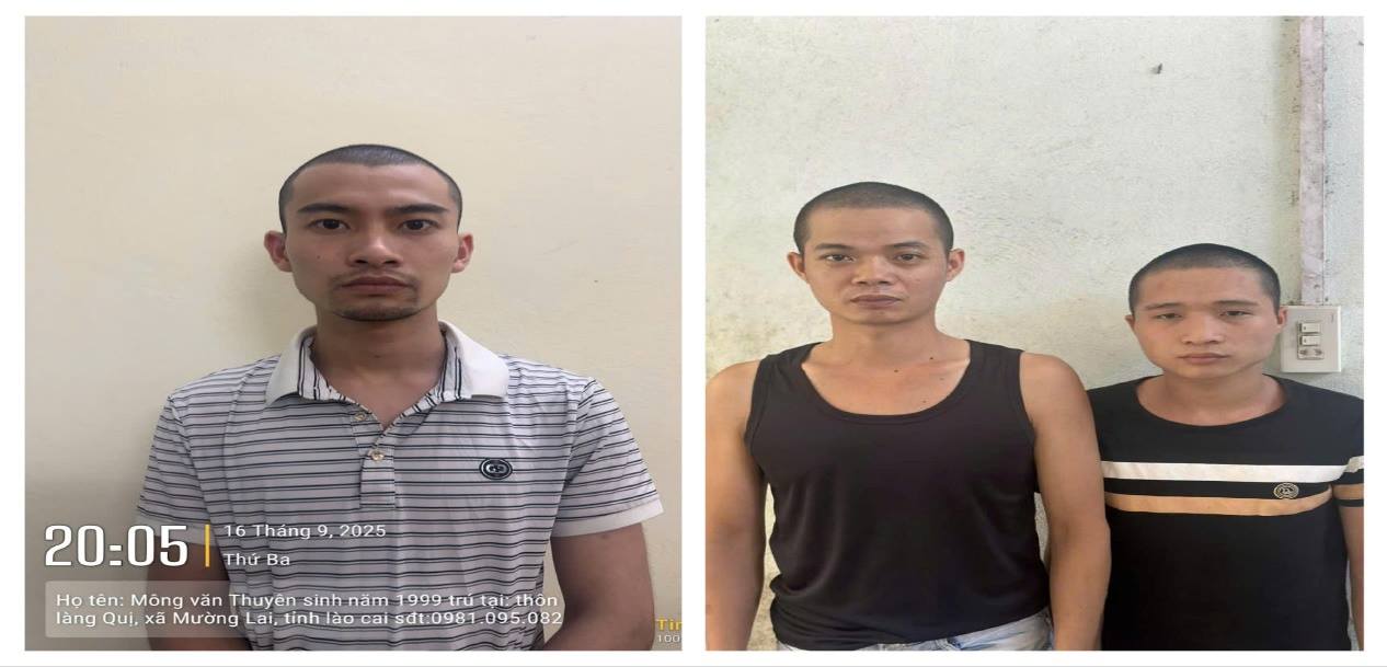 Bắt nhóm lừa đảo livestream bán đá “đổ thạch” trên mạng