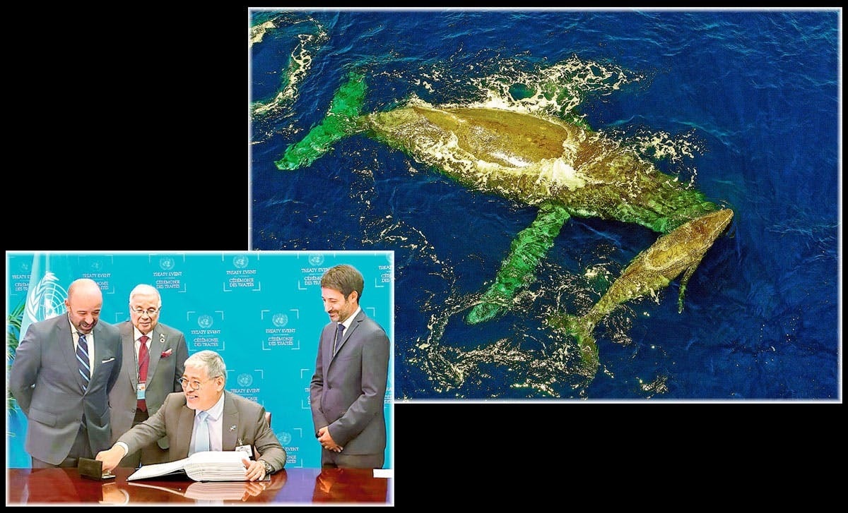 Các nước tham gia ký kết hiệp định bảo vệ đa dạng sinh học biển. (Ảnh: AP)