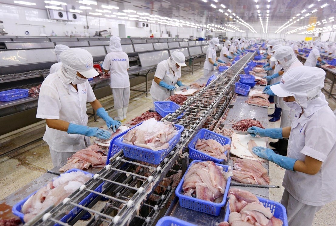 Quy định mới của EU MRL về Asen vô cơ trong cá và các loại hải sản khác