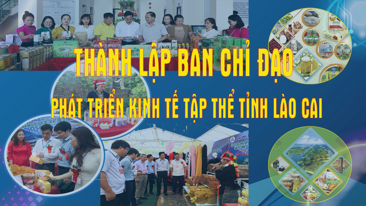 Chủ tịch UBND tỉnh Lào Cai Trần Huy Tuấn là Trưởng Ban Chỉ đạo phát triển kinh tế tập thể tỉnh Lào Cai Chủ tịch UBND tỉnh Lào Cai Trần Huy Tuấn là Trưởng Ban Chỉ đạo phát triển kinh tế tập thể tỉnh Lào Cai
