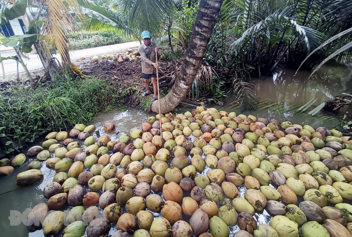 Ảnh minh họa, nguồn dongkhoi.vn. Ảnh minh họa, nguồn dongkhoi.vn.