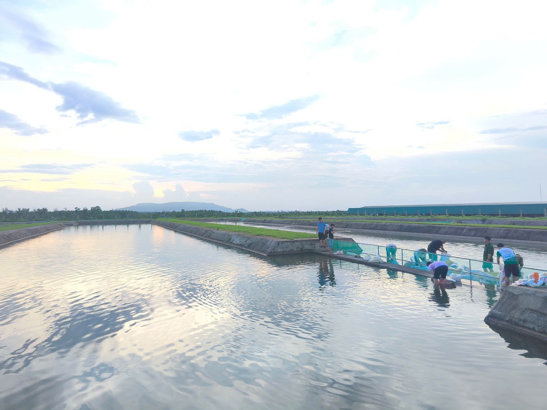 CB.CNV tham gia thả cá