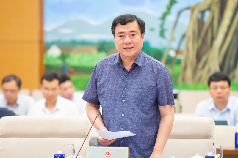 Thứ trưởng Bộ Công thương Nguyễn Sinh Nhật Tân trình bày tờ trình.