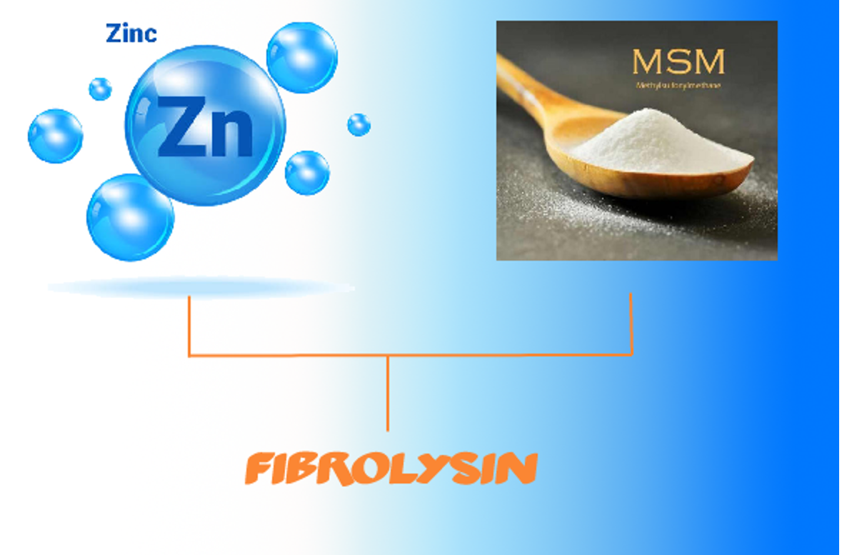 Fibrolysin hỗ trợ thanh phế, giảm viêm, giảm đờm, giảm ho