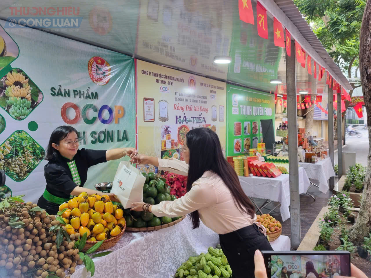 Khai trương Sàn trưng bày và giới thiệu sản phẩm Hoa Phượng