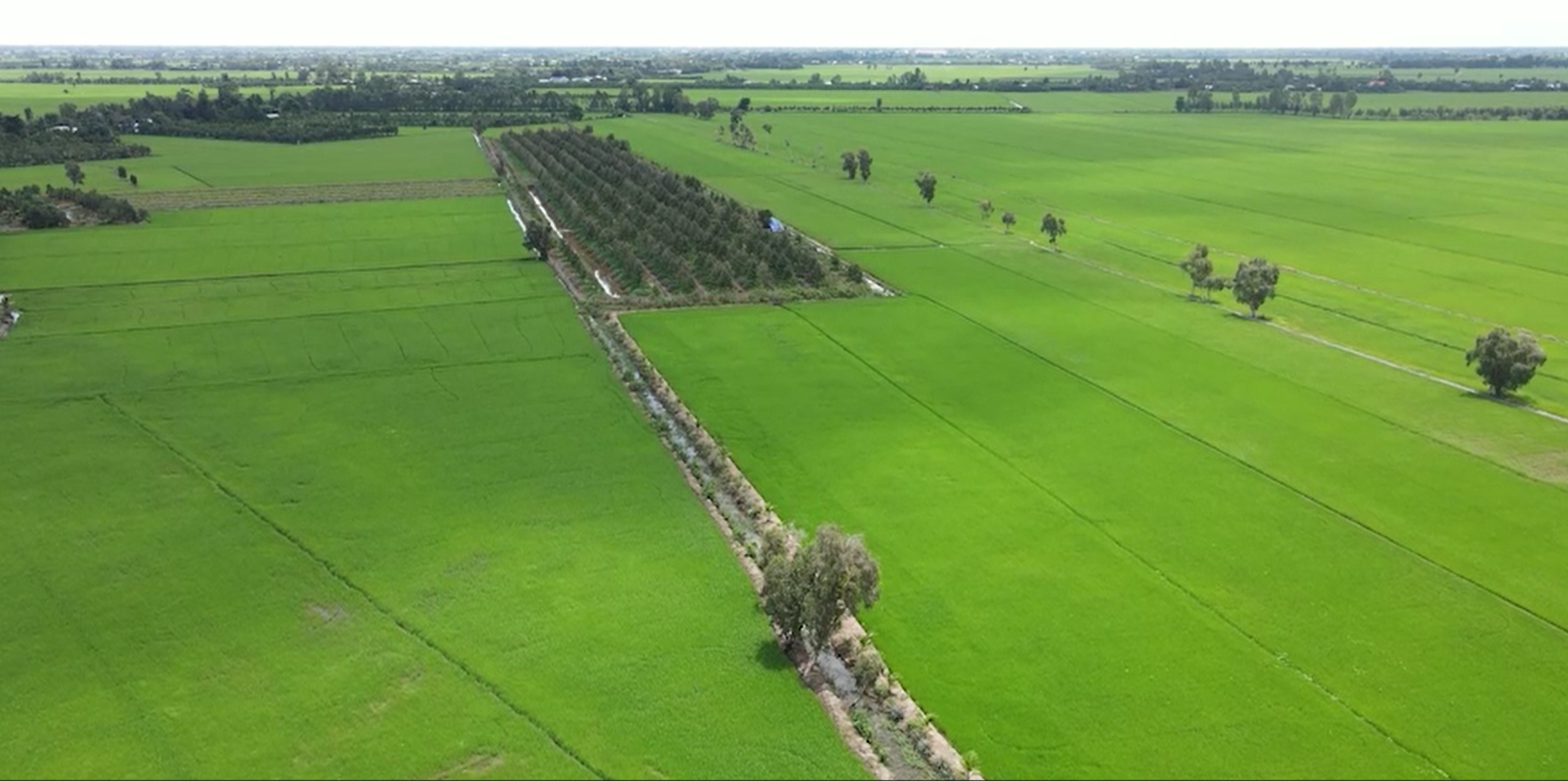 Tây Ninh bảo đảm tăng trưởng khu vực I đạt 4,3% trở lên