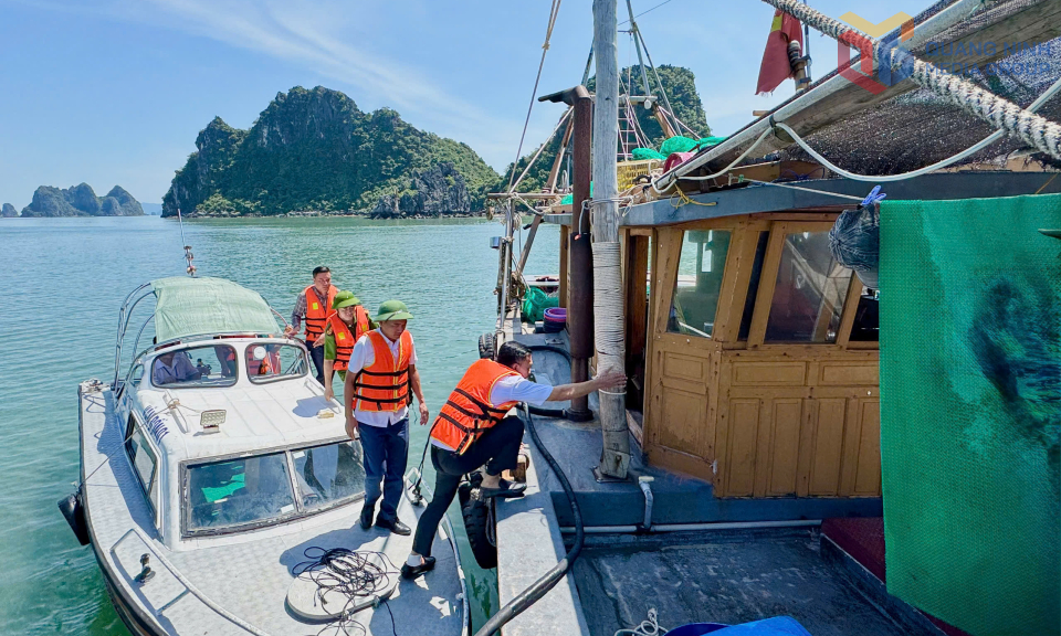 Đặc khu Vân Đồn chủ động ứng phó với bão số 9 (Ragasa)