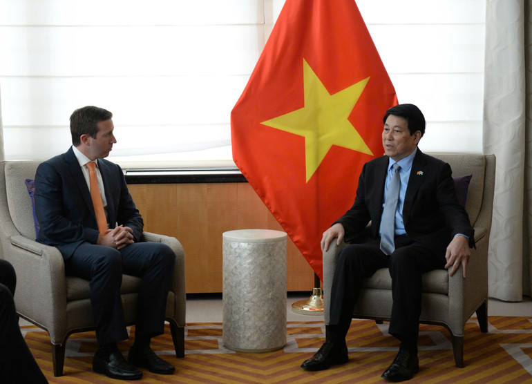 Chủ tịch nước Lương Cường tiếp Giám đốc điều hành Quỹ đầu tư Warburg Pincus.