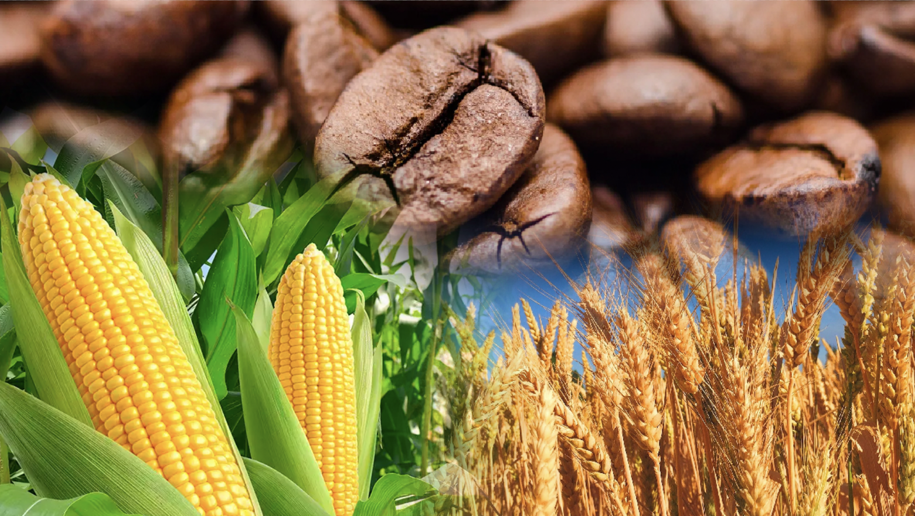 Áp lực từ nông sản, MXV-Index nối dài chuỗi 4 phiên giảm