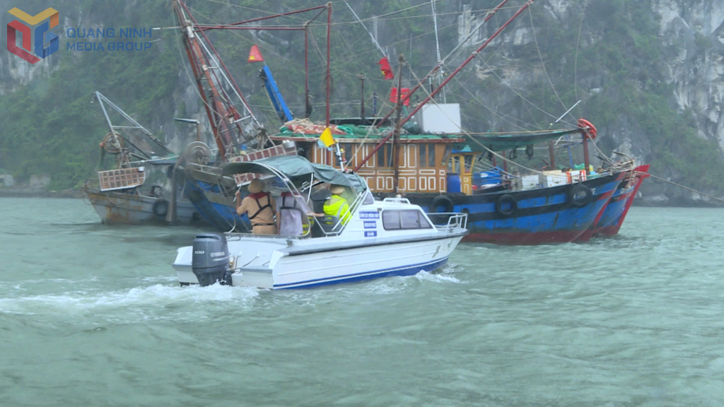 Đội Cảnh sát Đường thủy, Phòng CSGT (Công an tỉnh Quảng Ninh) phát loa kêu gọi hướng dẫn thuyền trên Vịnh Hạ Long về nơi tránh trú bão.