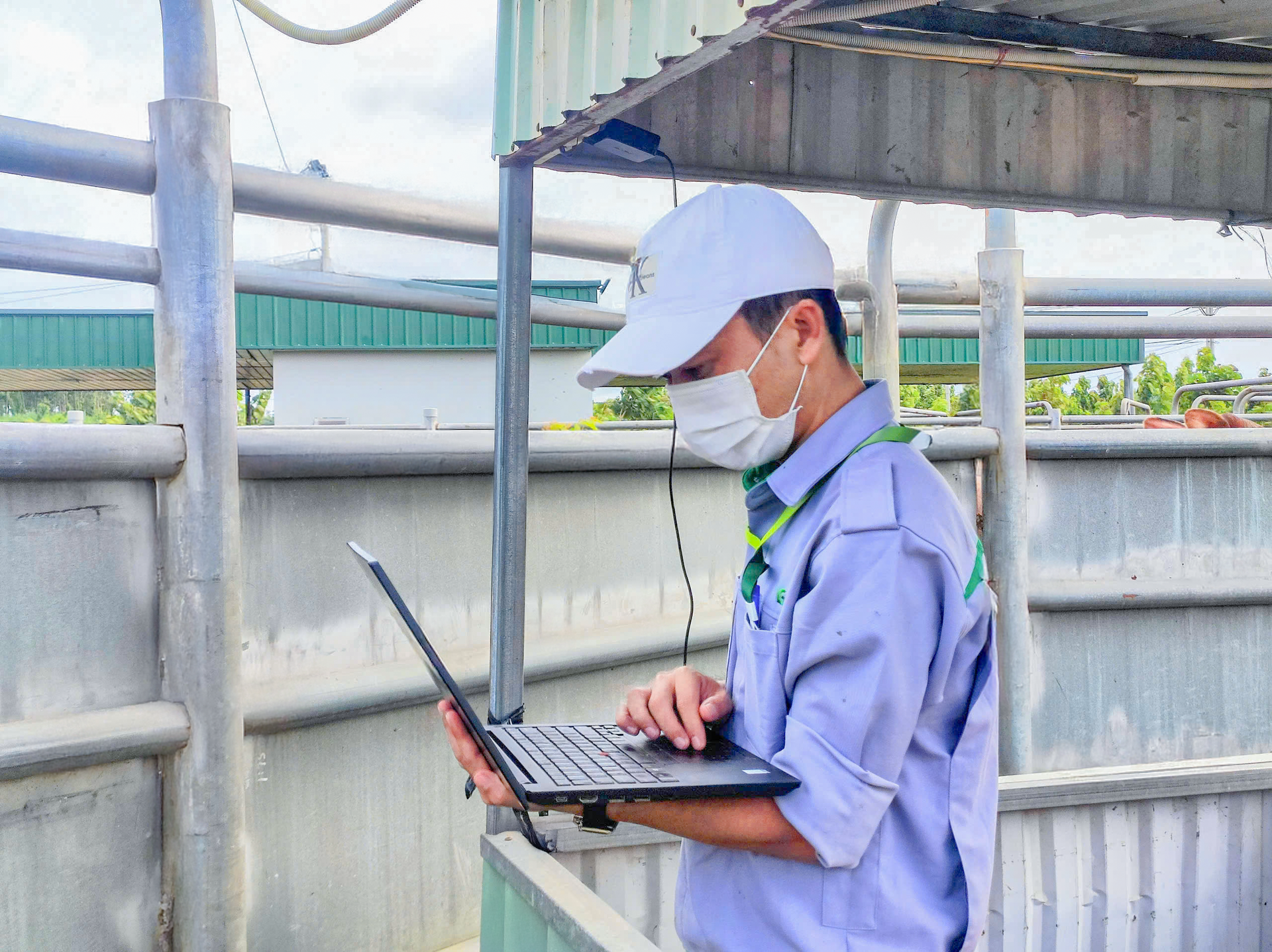 Kỹ thuật viên kiểm tra và xuất thông tin bò qua phần mềm quản lý