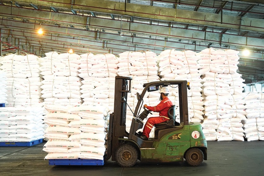 Thương hiệu Đạm Phú Mỹ chính thức ra mắt năm 2004, kịp thời đáp ứng khoảng 50% nhu cầu phân đạm trong nước