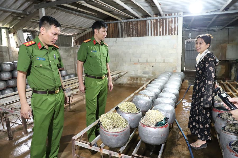 Mỗi lần sản xuất, Tuyết pha “nước kẹo” với nước và tưới lên giá đỗ từ 3 đến 5 ngày thì xuất bán ra thị trường.