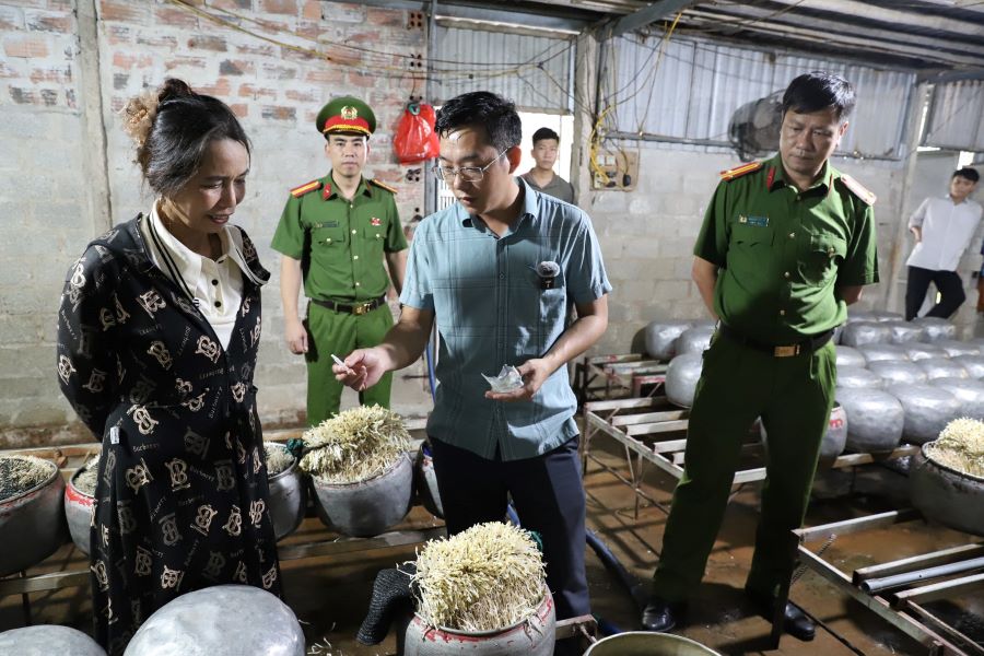 Hà Tĩnh: Phát hiện một cơ sở dùng chất cấm sản xuất hơn 470 kg giá đỗ