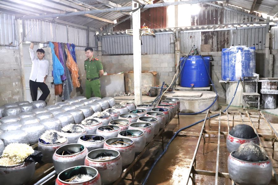 Nhà xưởng và thiết bị của chủ cơ sở dùng để sản xuất giá đỗ.