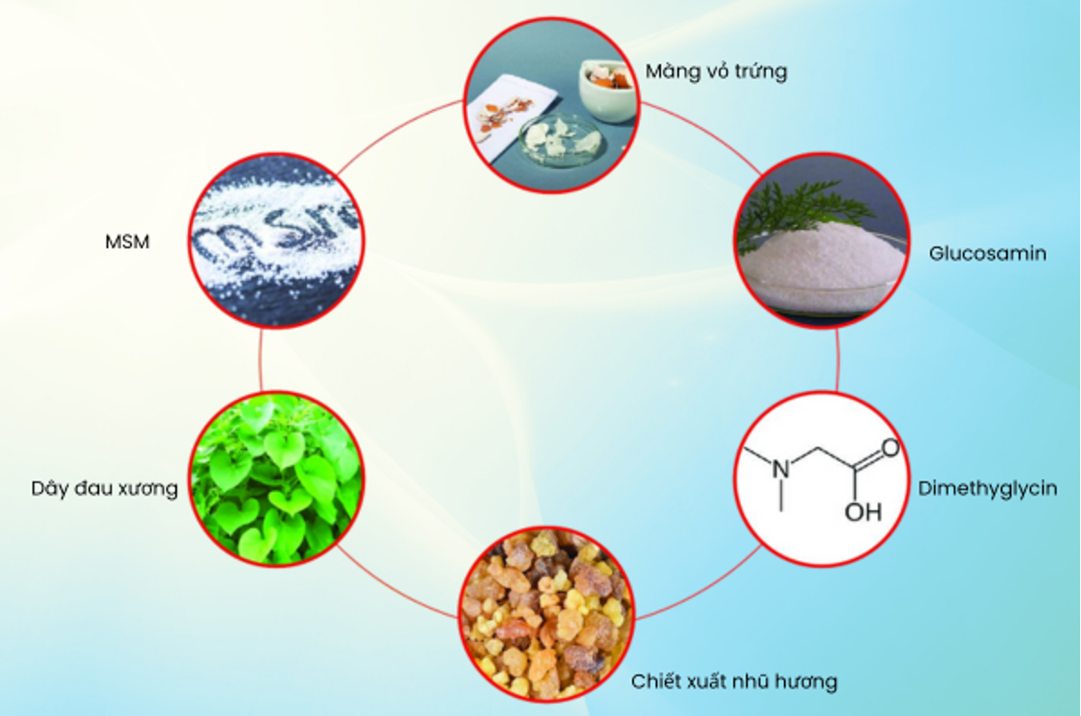 Sử dụng sản phẩm thảo dược chứa màng vỏ trứng giúp giảm tình trạng đau mỏi khớp tại nhà