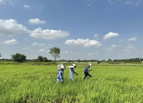 Cơ quan chức năng tiến hành cắm mốc để giải phóng mặt bằng Dự án đường cao tốc TP.HCM - Mộc Bài - Ảnh: Lê Quân