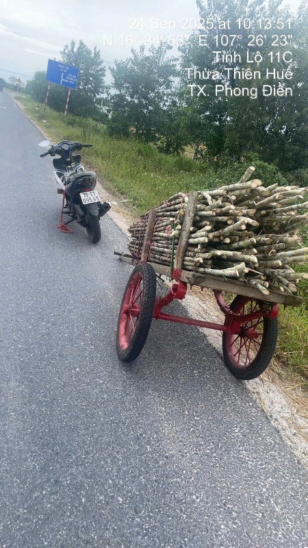 Xe chở củi Xe chở củi