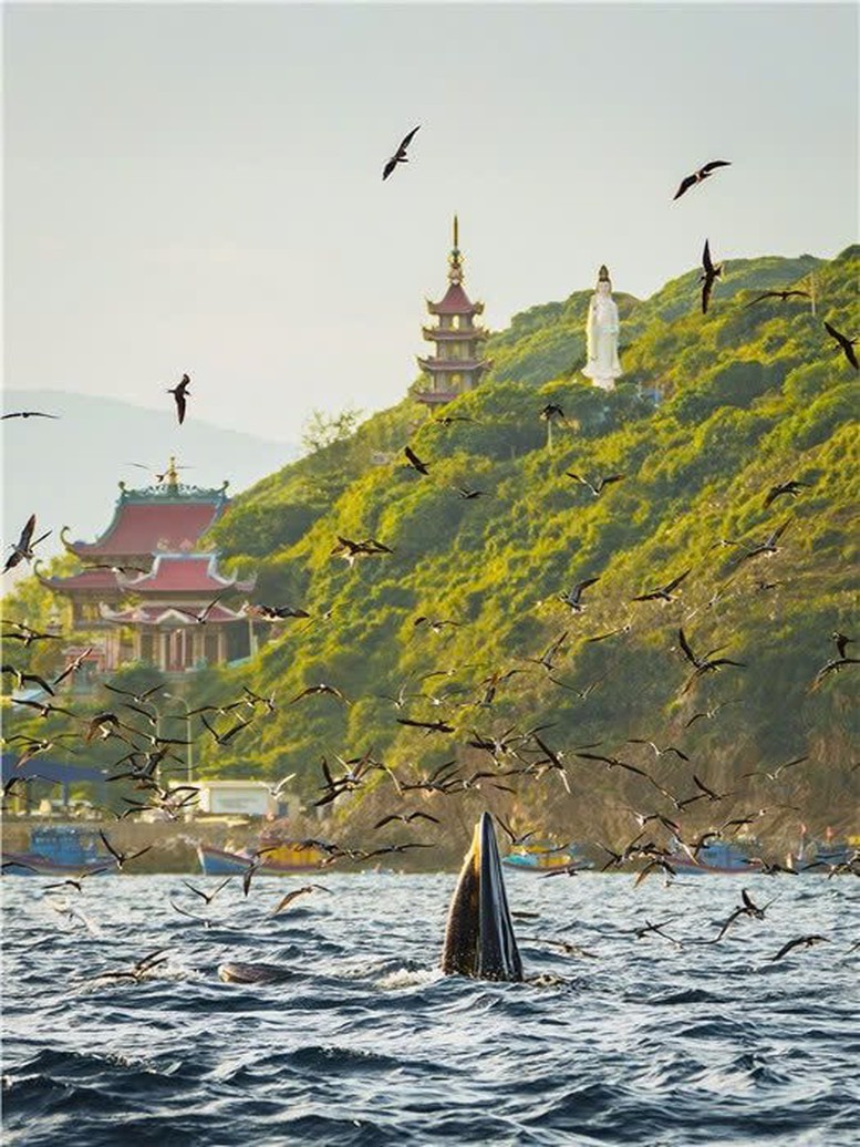 Ảnh tác giả Nguyễn Ngọc Thiện.