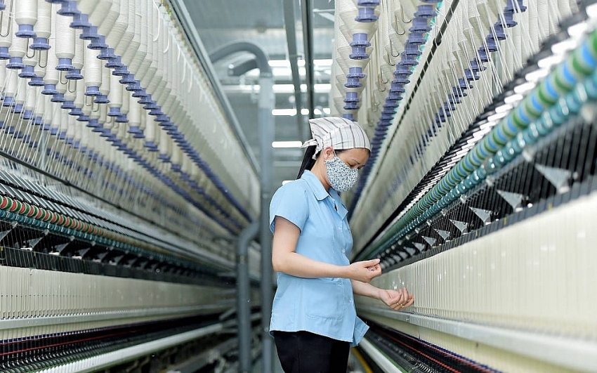 Kế hoạch triển khai thi hành Luật Quản lý và đầu tư vốn nhà nước tại doanh nghiệp