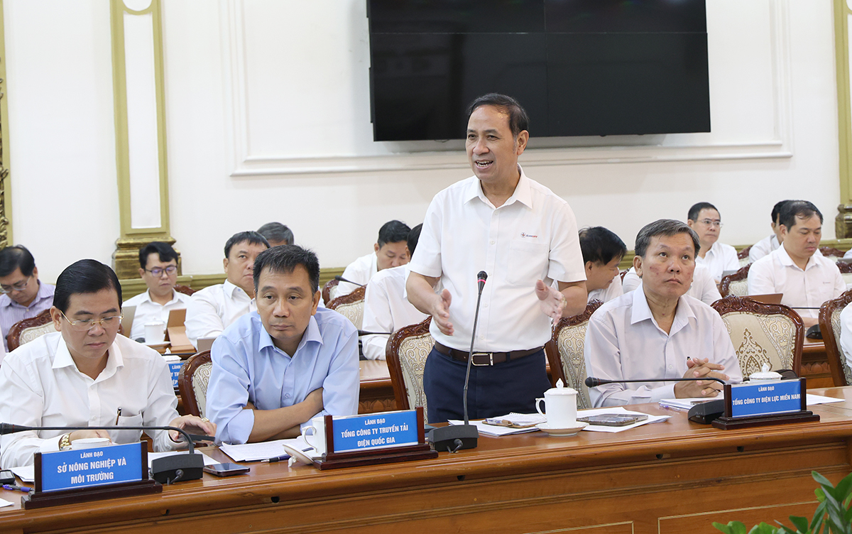 Phó Tổng giám đốc EVNNPT Bùi Văn Kiên phát biểu và nêu các kiến nghị tại buổi làm việc
