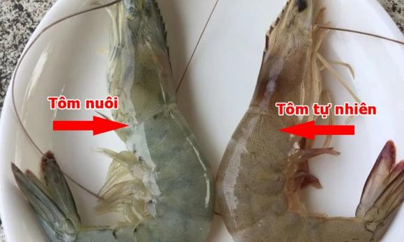 Tôm nuôi và tôm tự nhiên phân biệt hương vị, dinh dưỡng và giá cả