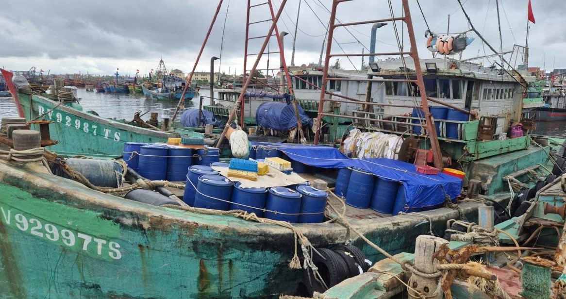 Quảng Trị: Xử lý 4 tàu cá có hành vi vi phạm về khai thác hải sản bất hợp pháp
