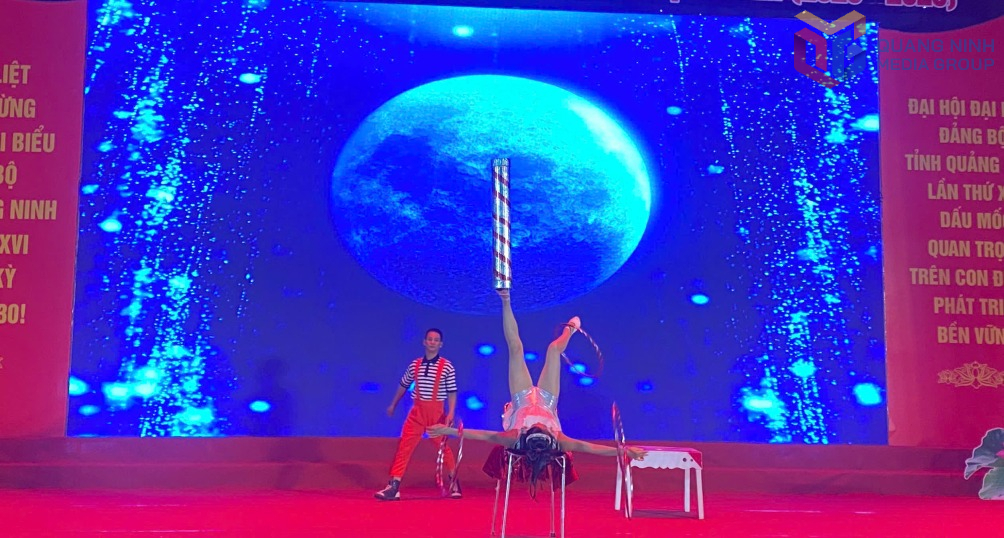 Một tiết mục biểu diễn xiếc.