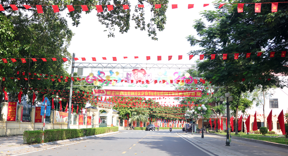 Sắc màu rực rỡ trên các tuyến đường ở xã Hiệp Hòa.