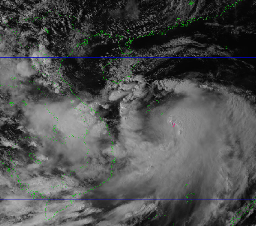 Ninh Bình chủ động ứng phó bão số 10 với tinh thần “không chủ quan, không bị động”