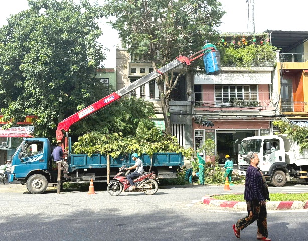 Đà Nẵng: Triển khai đồng bộ phương án phòng, chống bão Bualoi