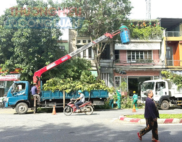 Đ&agrave; Nẵng triển khai đồng bộ biện ph&aacute;p ứng ph&oacute; b&atilde;o Bualoi.