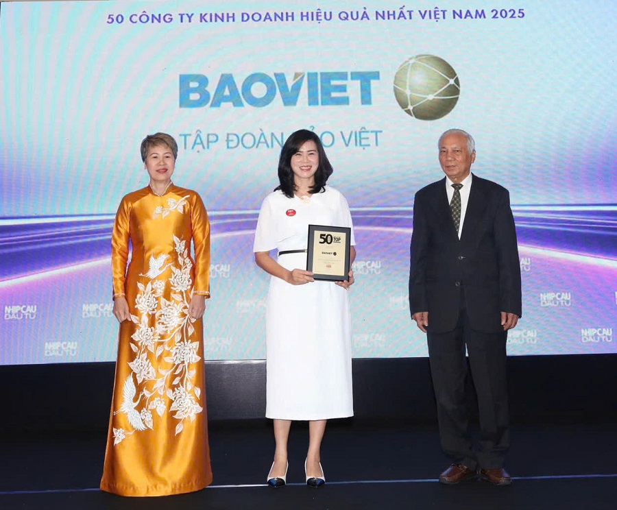 Bảo Việt (BVH): Top 50 Công ty kinh doanh hiệu quả nhất Việt Nam 2025