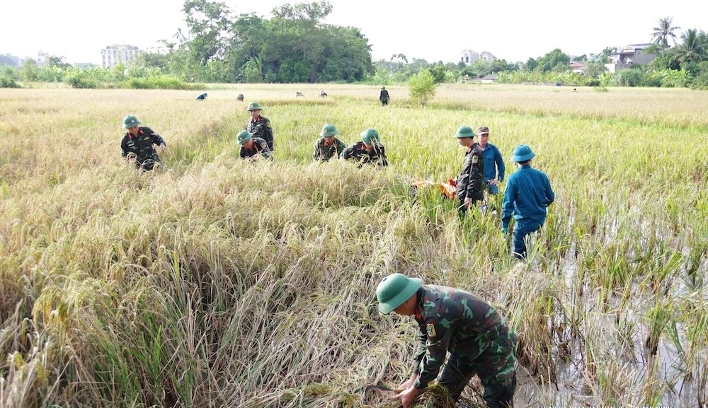 Thanh Hóa huy động hơn 2.000 cán bộ, chiến sĩ hỗ trợ người dân ứng phó bão số 10