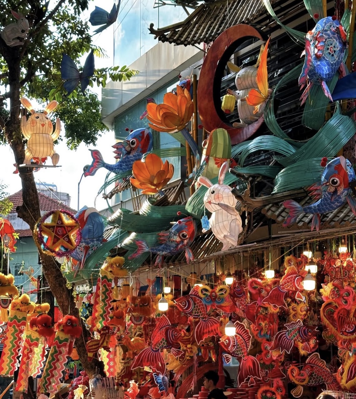 “Cả con phố khoác lên mình tấm áo đỏ thắm, rực rỡ và rộn ràng hương vị Trung thu.” “Cả con phố khoác lên mình tấm áo đỏ thắm, rực rỡ và rộn ràng hương vị Trung thu.”