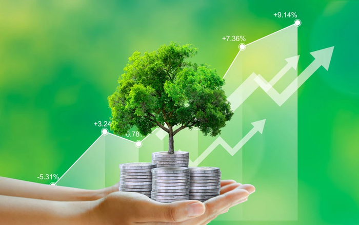 Ảnh minh họa, nguồn internet. Ảnh minh họa, nguồn internet.