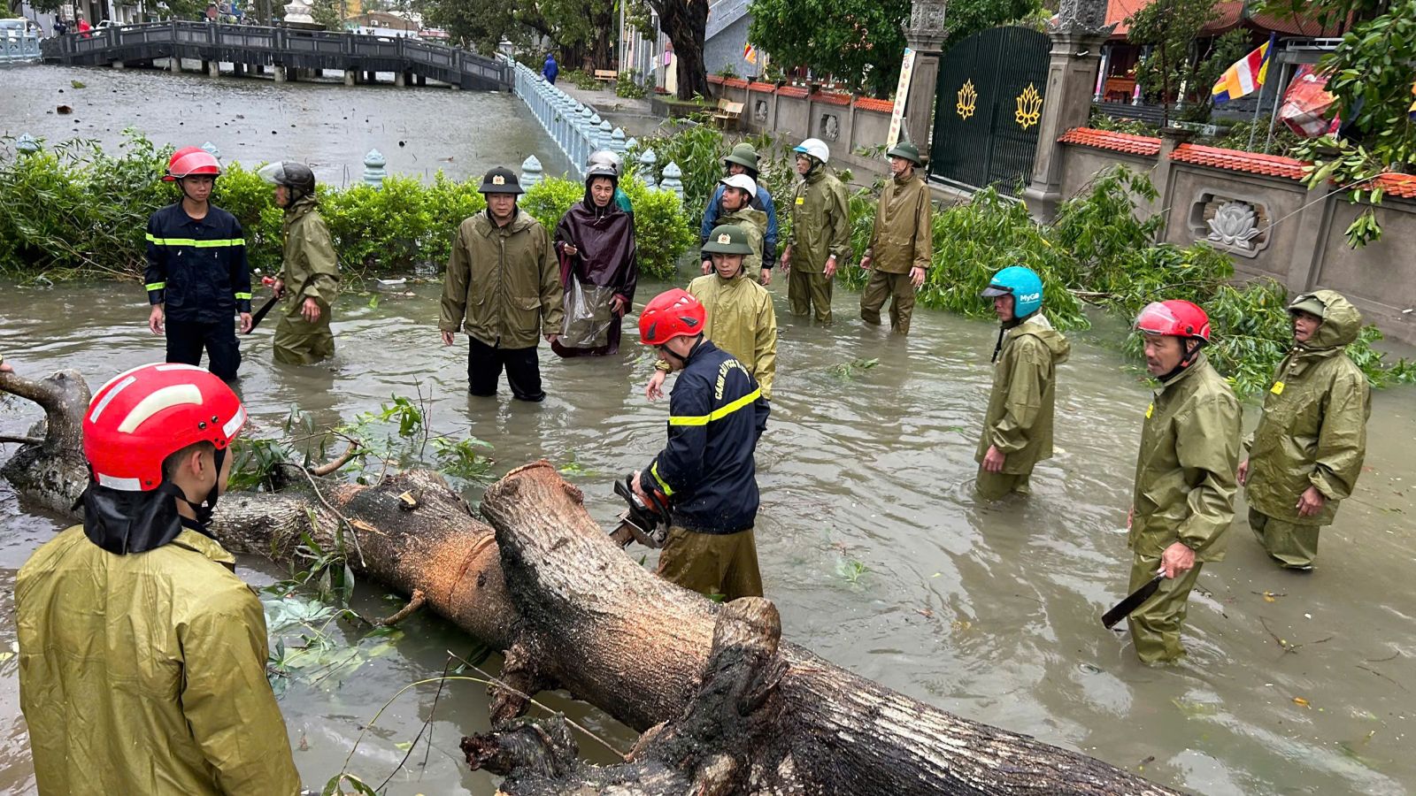 Thanh Hóa dự trữ nhu yếu phẩm, không để xảy ra tình trạng thiếu lương thực thực phẩm do mưa bão