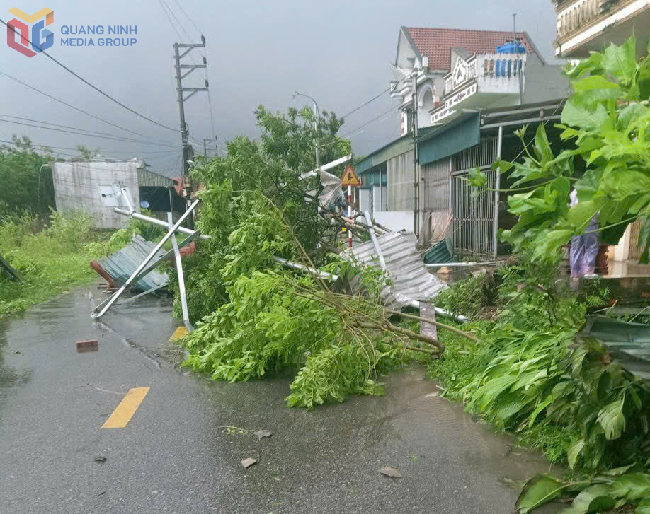 Dông lốc khiến nhiều cây xanh trên các tuyến phố gãy đổ.