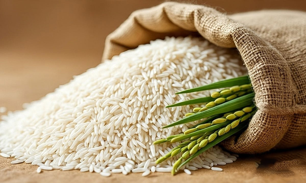 Giá lúa gạo hôm nay ngày 29/9: Thị trường bình ổn. (Ảnh minh họa) Giá lúa gạo hôm nay ngày 29/9: Thị trường bình ổn. (Ảnh minh họa)