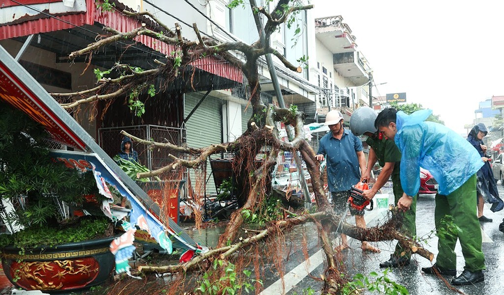 Tỉnh Ninh Bình đang tập trung mọi nguồn lực cho công tác khắc phục hậu quả