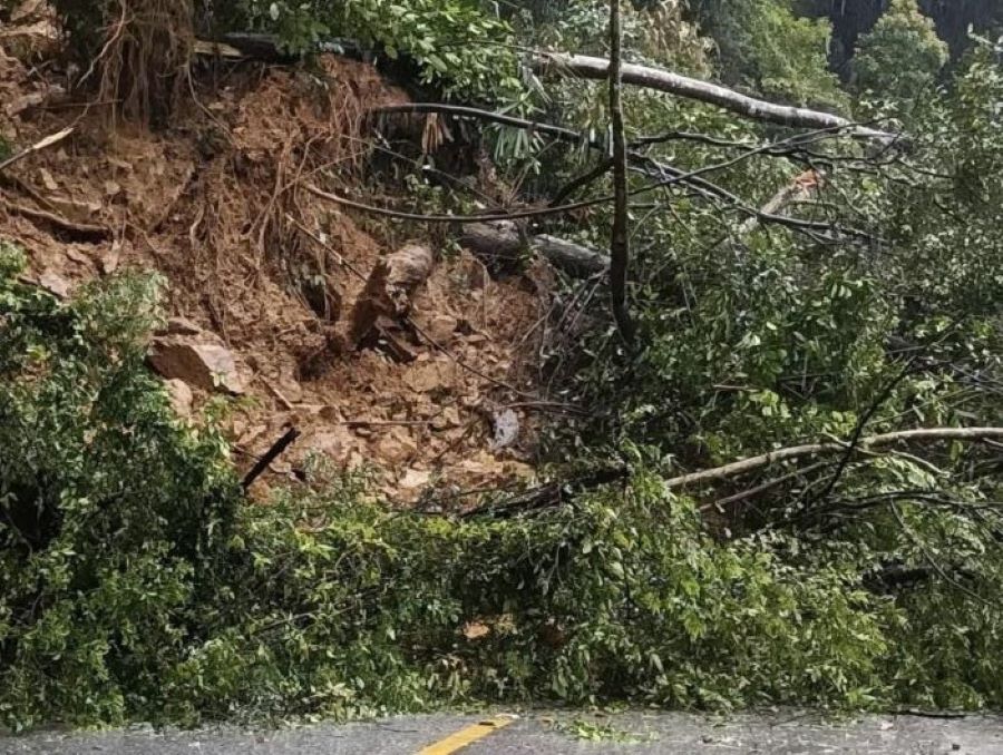 Khối lượng lớn đất, đá sạt lở và cây cối đổ chắn ngang Quốc lộ 8A. Khối lượng lớn đất, đá sạt lở và cây cối đổ chắn ngang Quốc lộ 8A.