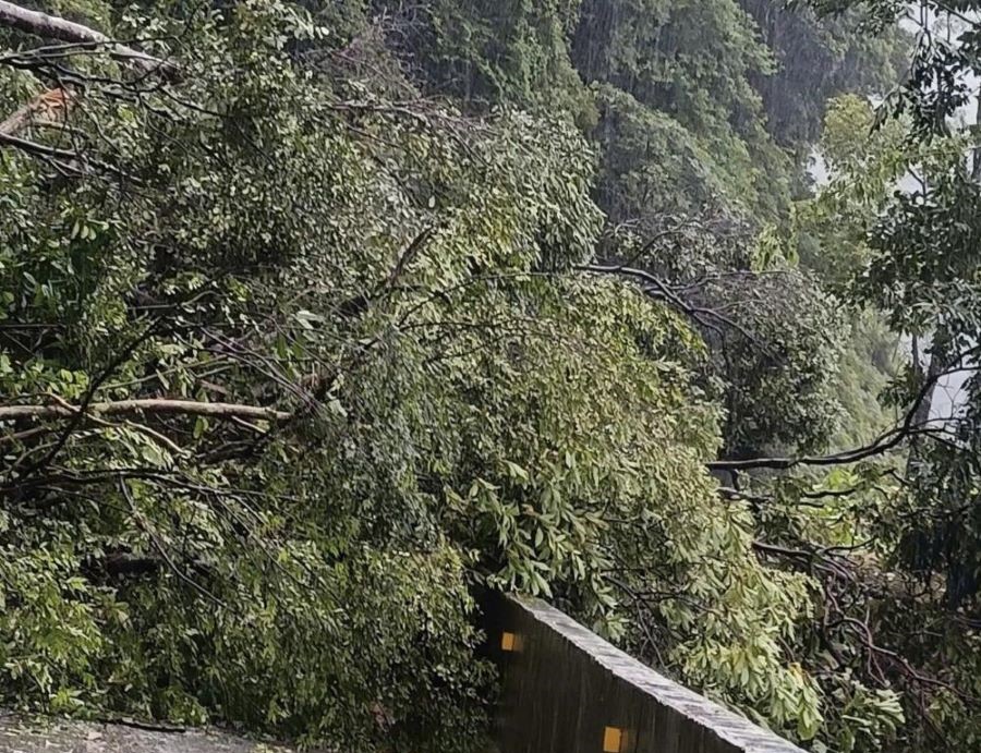 Khối lượng lớn đất, đá sạt lở và cây cối đổ chắn ngang Quốc lộ 8A. Khối lượng lớn đất, đá sạt lở và cây cối đổ chắn ngang Quốc lộ 8A.