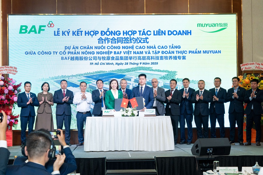 BAF và đối tác Trung Quốc làm 'chung cư nuôi heo' 12.000 tỷ đồng đầu tiên tại Việt Nam, Xuân Thiện, Dabaco... cũng muốn nhập cuộc BAF và đối tác Trung Quốc làm 'chung cư nuôi heo' 12.000 tỷ đồng đầu tiên tại Việt Nam, Xuân Thiện, Dabaco... cũng muốn nhập cuộc