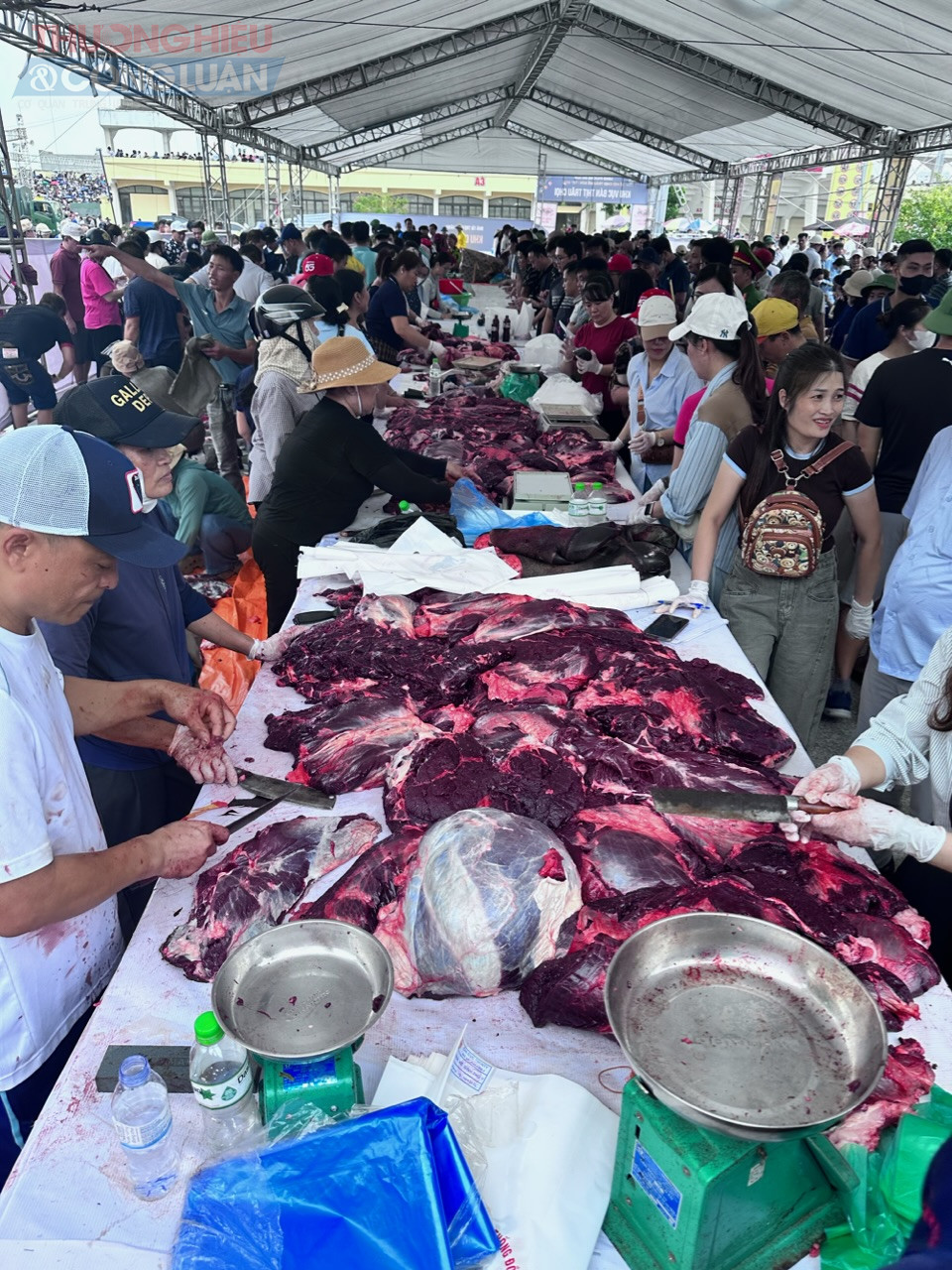 Thịt trâu chọi Đồ Sơn được người tiêu dùng săn đón