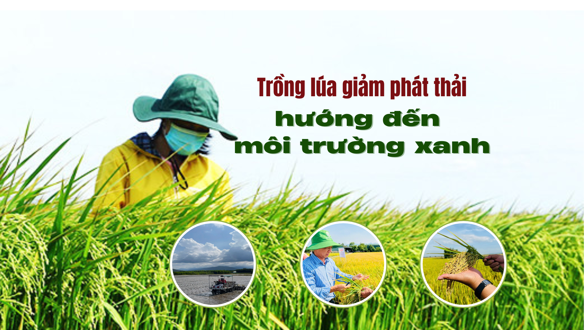 Phê duyệt Đề án trồng trọt giảm phát thải giai đoạn 2025 - 2035