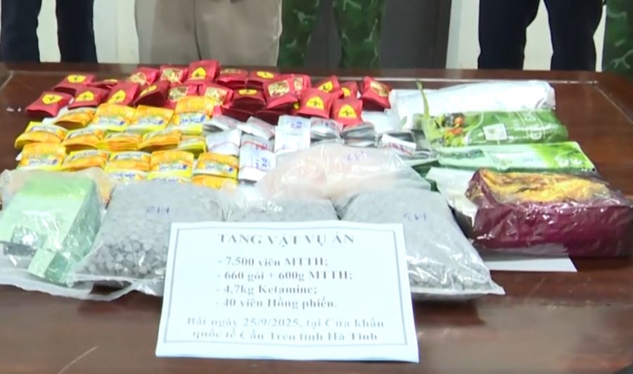 Tang vật là 14 kg ma túy các loại.