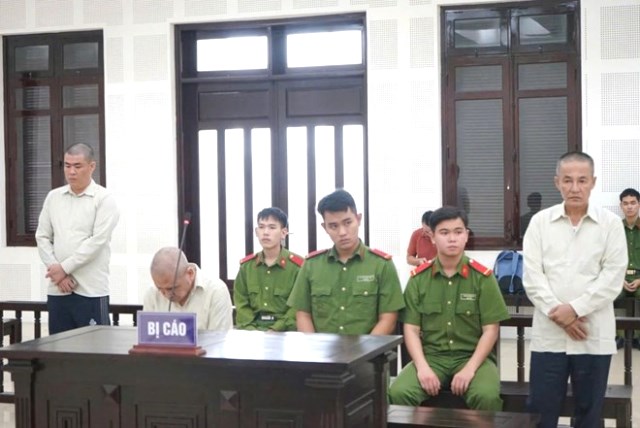 Lên kế hoạch xóa ghế Chủ tịch HĐTV để thâu tóm mỏ cát Pha Lê tại Đà Nẵng