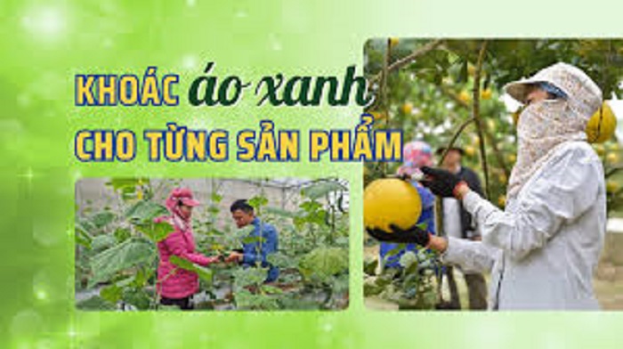 Sản phẩm OCOP cần 