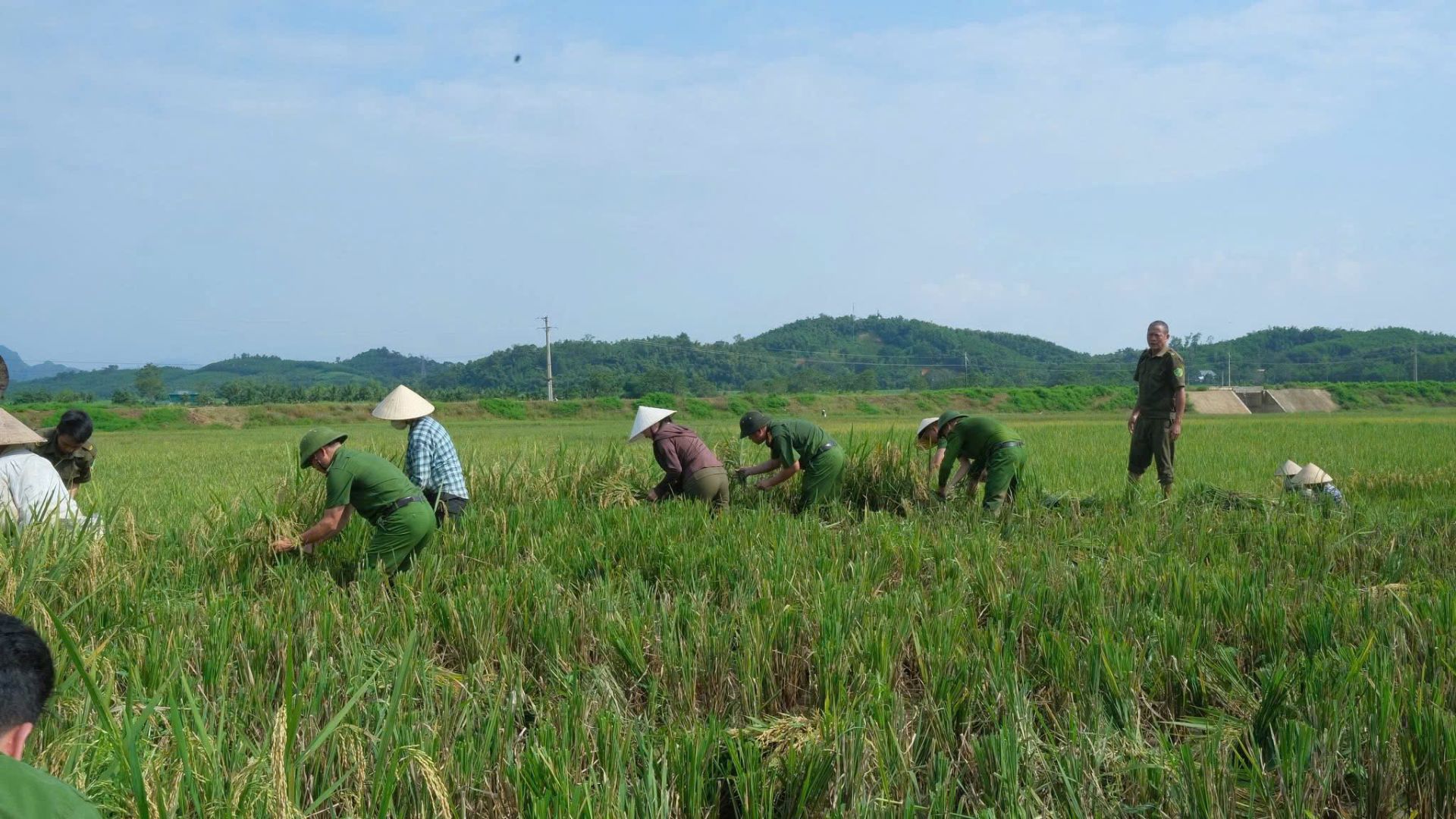 Mưa bão gây thiệt hại hơn 7.400ha cây trồng tại Thanh Hóa