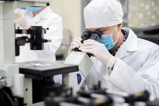 Nghị định số 207/2025 của Chính phủ chính thức cho phép phụ nữ độc thân được thực hiện thụ tinh trong ống nghiệm (IVF) nếu có nguyện vọng Nghị định số 207/2025 của Chính phủ chính thức cho phép phụ nữ độc thân được thực hiện thụ tinh trong ống nghiệm (IVF) nếu có nguyện vọng